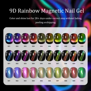 Cartella colori professionale per gel unghie magnetico 9D con trenta effetti di colore vivaci