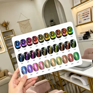 Primo piano della cartella colori per smalto occhi di gatto con 40 campioni colorati