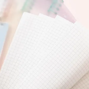 Gedetailleerde macro-weergave van de grijze rasterlijnen van A5 losbladig notitiepapier