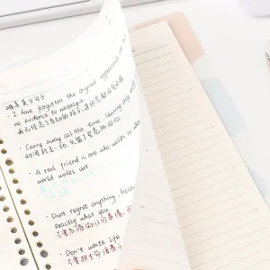Détail de carnet à anneaux B5 avec des pages lignées claires et onglet transparent.