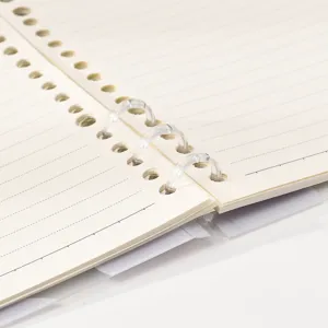 Vue rapprochée montrant les anneaux de reliure transparents et le papier ligné.