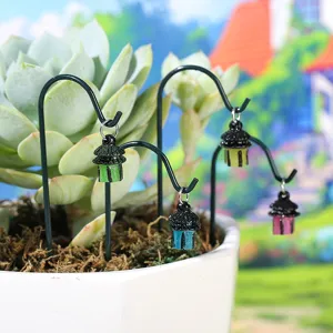 Estaca de planta linterna en miniatura luminosa maceta suculenta micro paisaje
