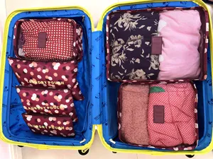 Set de 6 cubos de embalaje de viaje organizador de maleta para ropa y ropa interior.