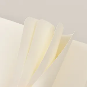 Primer plano detallado de páginas interiores de papel crema grueso en blanco, textura lisa.