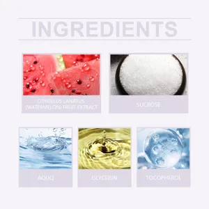 Gedetailleerde ingrediënteninfographic met watermeloenextract, saccharose, glycerine en vitamine E.
