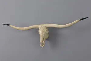Vintage longhorn skull wall hanging decor, resin animal taxidermy style wall art for home.