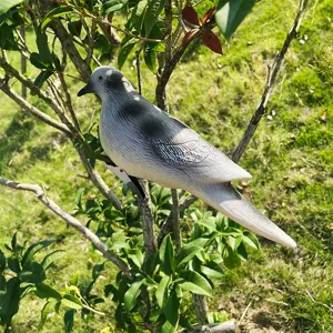 Outdoor garden resin simulated turtle dove bird ornament detail view for courtyard landscape decor.