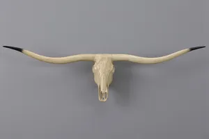 Vintage longhorn bull skull wall decor, faux taxidermy rustic animal hanging for home bar.