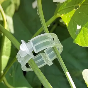 Transparante kunststof plantenbevestigingsclip voor tomaten, groentenranken en tuinstengels.