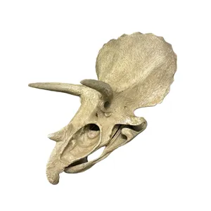 Realistisch dinosaurus schedel fossiel skelet model sculptuur voor museum tentoonstelling decor