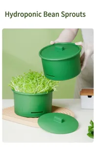 Scatola per coltivazione idroponica di germogli vassoio germogliatore in plastica verde