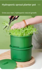 Vassoio coltivazione germogli idroponici per interni giardinaggio contenitore per germogliatore.
