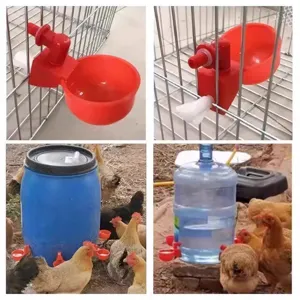 Bevitoio automatico per pollame gallina anatra piccione fattoria abbeveratoio gabbia secchio