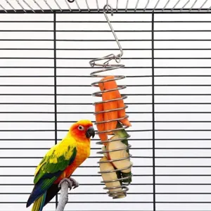 Stainless steel spiral bird feeder hanging fruit vegetable holder for parrot pet cage display.