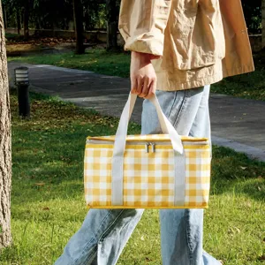 Grote geïsoleerde picknicktas thermische lunchbox waterdicht opvouwbaar camping mand koeltas