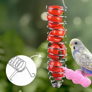 Stainless steel bird feeder spiral fruit vegetable holder for parrots and small pets