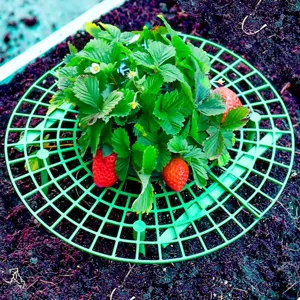 Green Plastic Strawberry Support Stand Plant Fruit Protection Holder Anti Lodging Rack Gardening Supplies