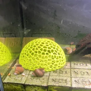 Yellow 3D printed hollow mesh dome fish tank hiding cave detail aquarium landscaping ornament