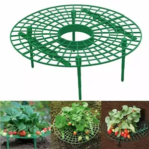 Strawberry support frame plastic plant grid holder garden fruit growing protector