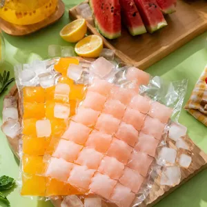 Sacs à Glaçons Jetables Auto-scellants en Plastique Transparent Moule à Glaçons Ustensiles de Cuisine