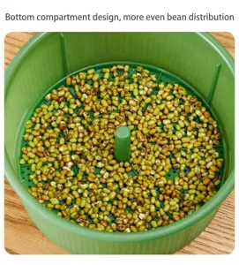 Dettaglio vassoio germogliatore per fagioli, scatola di germinazione in plastica verde con divisorio.
