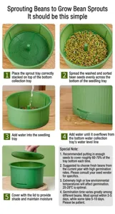 Contenitore idroponico in plastica verde per la coltivazione di fagioli e verdure.