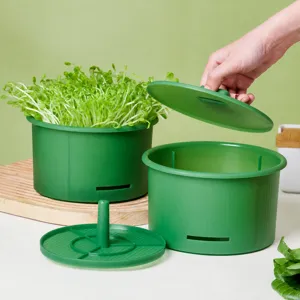 Germogliatore idroponico vaschetta per germinazione di germogli di soia e arachidi.
