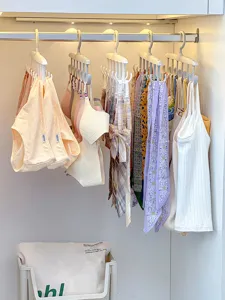 Cintre multifonctionnel pour sous-vêtements organisateur de placard rangement crochet