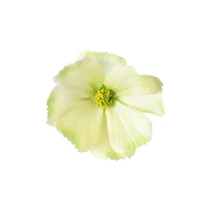 Tête de fleur de cosmos artificielle pour accessoires de cheveux DIY et décoration de mariage.