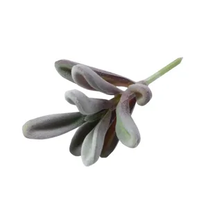 Artificial flocked succulent stem in purple and green for DIY home décor and crafts