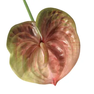 Fleur anthurium artificielle realiste tactile 3d rouge vert degrade deco mariage