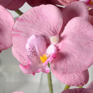 Fleur d'orchidée phalaenopsis artificielle tige unique rose en soie pour déco maison.