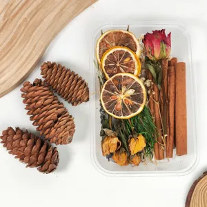 Natale fiori secchi set aromaterapia decorazione naturale pigne e bastoncini di cannella