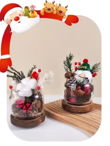 Set di ornamenti di fiori secchi per aromaterapia natalizia con vaso di vetro.