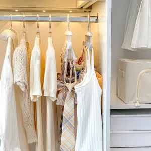 Cintre à sous-vêtements rotatif multicouche et crochet de rangement pour armoire.