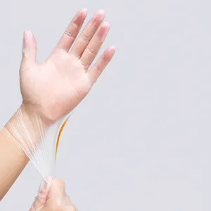 Gants Jetables en TPE Qualité Alimentaire Boîte Emballé Transparent Épaissi Imperméable Résistant à l'Huile Cuisine Maison