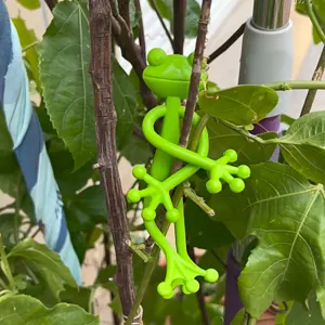 Flexibler hellgrüner Pflanzenstützbinder in Froschform zur sicheren Befestigung von Stielen