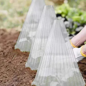 Close-up detail view of transparent ribbed plant cloches protecting garden seedlings in soil.