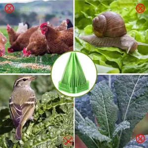 Garden plant protector bell cloche for seedlings frost and pest defense green plastic cover.