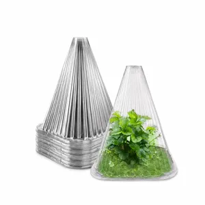 Clear plastic plant cloche nursery cover for seedlings, frost protection greenhouse bell jar.
