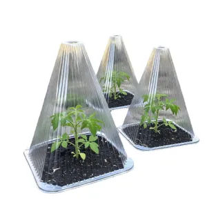 Transparent plant nursery protection cloche bell jar for frost and pest control 3pcs