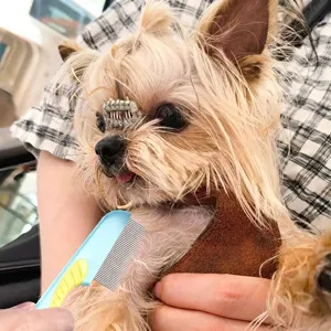 Pet flea and tear stain comb with fine metal teeth for dog grooming