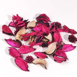 Pétales de fleurs séchées naturelles et coques de plantes pot-pourri parfum d'intérieur fond blanc