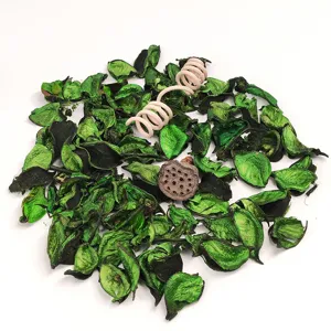 Natural green dried flower potpourri with wooden diffuser stick for home fragrance.