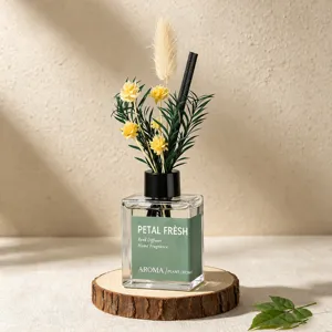 Duftdiffusor Set für Raumduft mit Grünpflanzen und Trockenblumen in Glasflasche.
