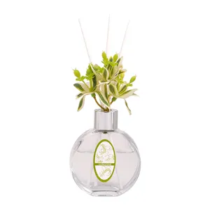 Glasflaschen-Rattan-Diffusor mit grüner Pflanzendekoration für Schlafzimmer Wohnzimmer.