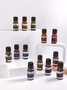Wateroplosbare etherische olieset voor diffuser luchtbevochtiger aromatherapie 10ml
