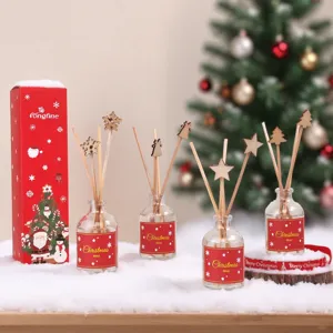Ensemble de diffuseur de parfum de Noël avec bâtonnets en bois festifs et flacons en verre déco.