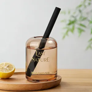 Minimalist Glass Reed Diffuser Bottle With Black Aroma Sticks Essential Oil Air Freshener For Home Bedroom Hotel Decor