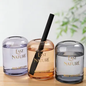 Minimalist reed diffuser set for home hotel bedroom living room aromatic fragrance glass bottle